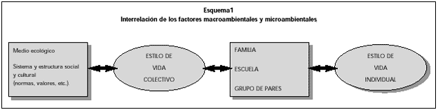 Esquema 1. Interelación de los factores macroambientales y microambientales.