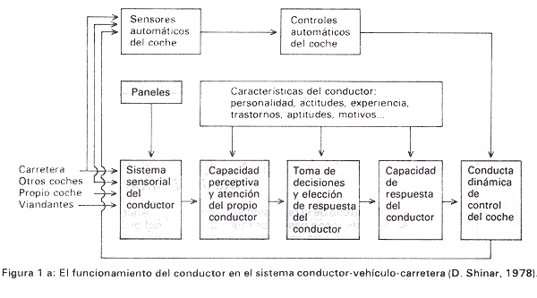 Figura 1a. El funcionamiento del conductor en el sistema conductor-vehículo-carretera ( D. Shinar, 1978 ).